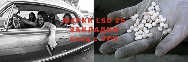 гидра Володарск