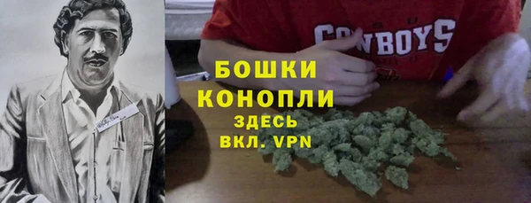 гидра Володарск