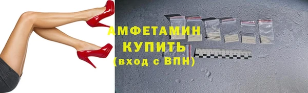 гидра Володарск