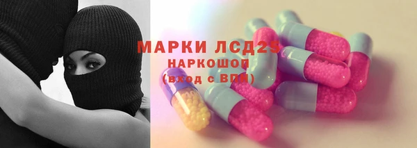 гидра Володарск