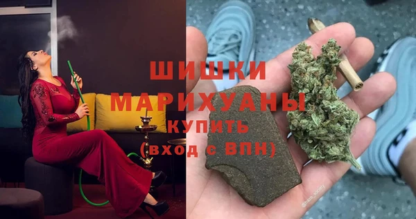 PSILOCYBIN Волосово