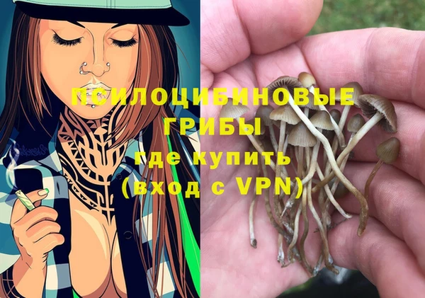 гидра Володарск
