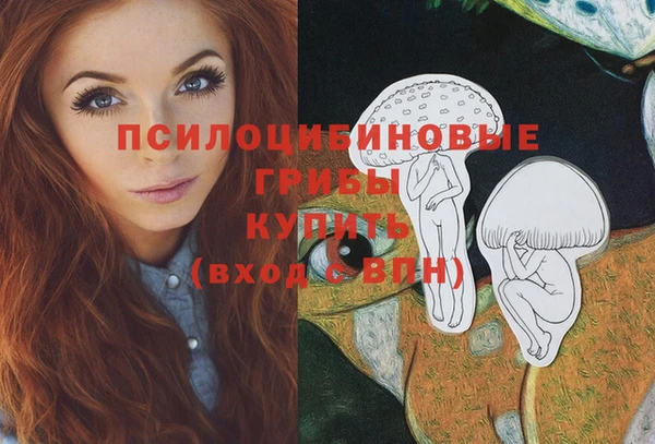 PSILOCYBIN Волосово