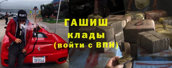 PSILOCYBIN Волосово