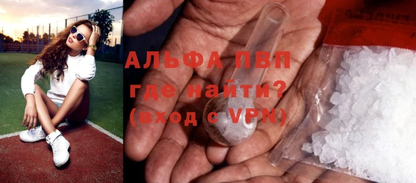 гидра Володарск