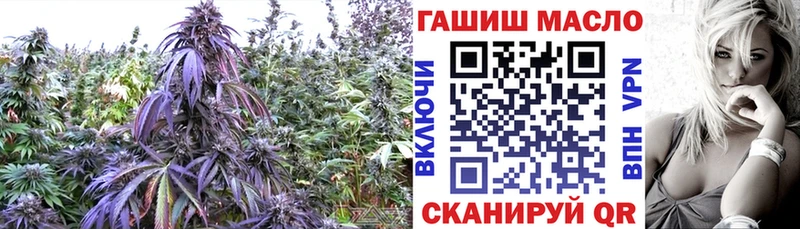 Дистиллят ТГК вейп  купить наркоту  Питкяранта 