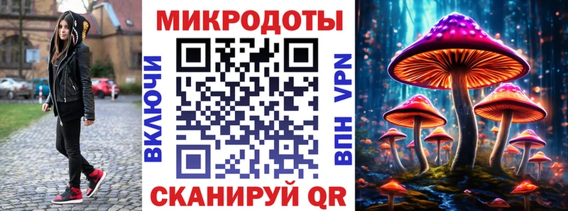 Галлюциногенные грибы Cubensis  Питкяранта 